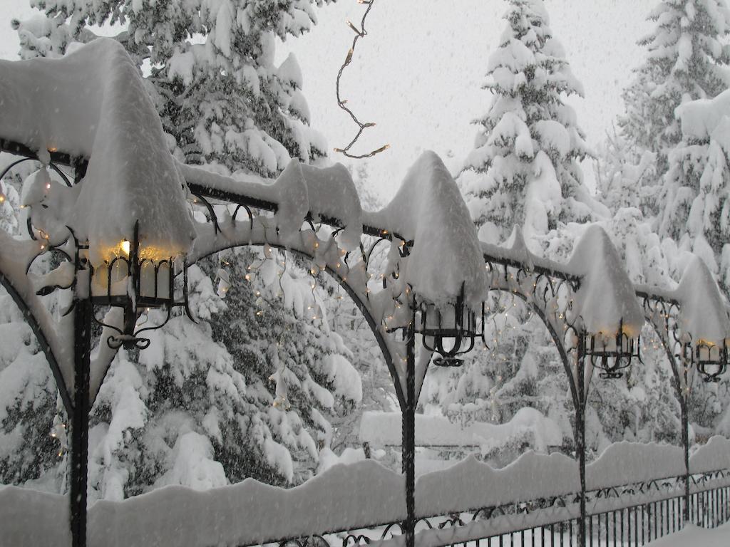 Hotel Castor Champoluc Εξωτερικό φωτογραφία